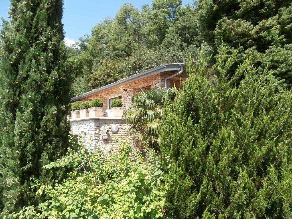 La Villa Du Rhone Miribel  Bagian luar foto